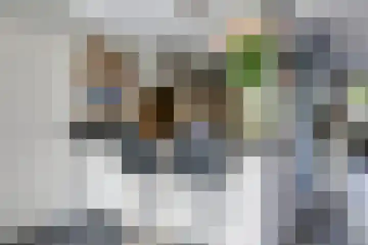 Paganinistraat 15 Zevenaar thumbnail 22