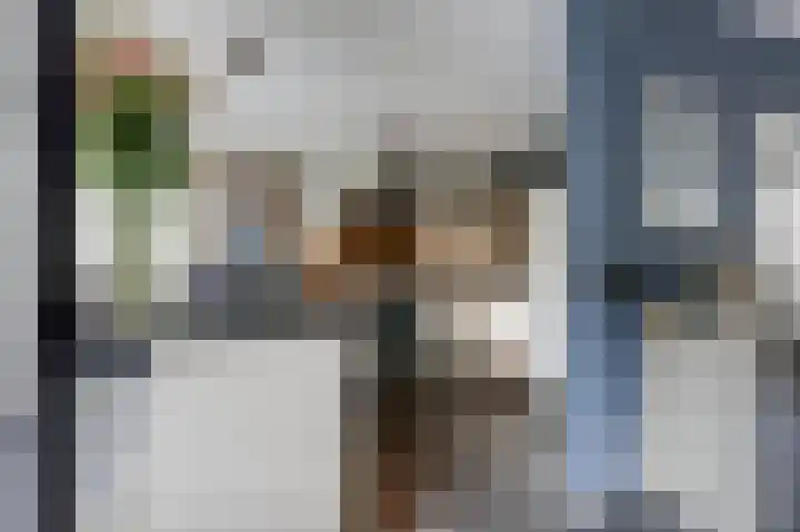 Paganinistraat 15 Zevenaar thumbnail 24