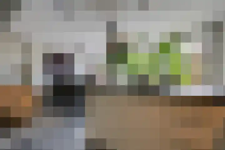 Paganinistraat 15 Zevenaar thumbnail 26