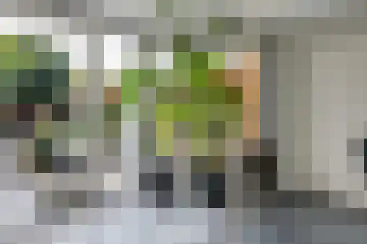 Paganinistraat 15 Zevenaar thumbnail 27
