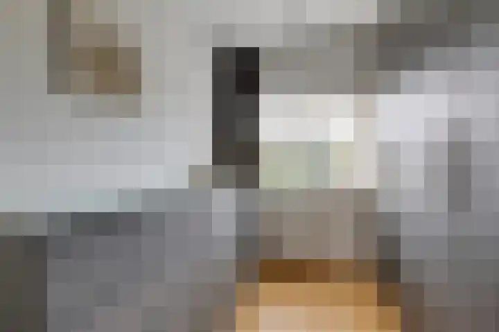 Paganinistraat 15 Zevenaar thumbnail 38