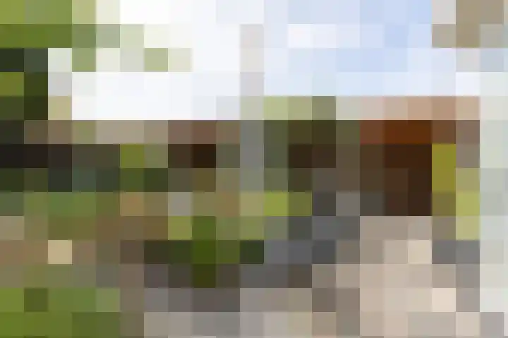 Paganinistraat 15 Zevenaar thumbnail 4