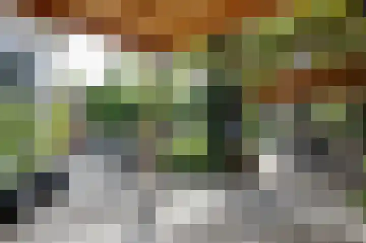Paganinistraat 15 Zevenaar thumbnail 57