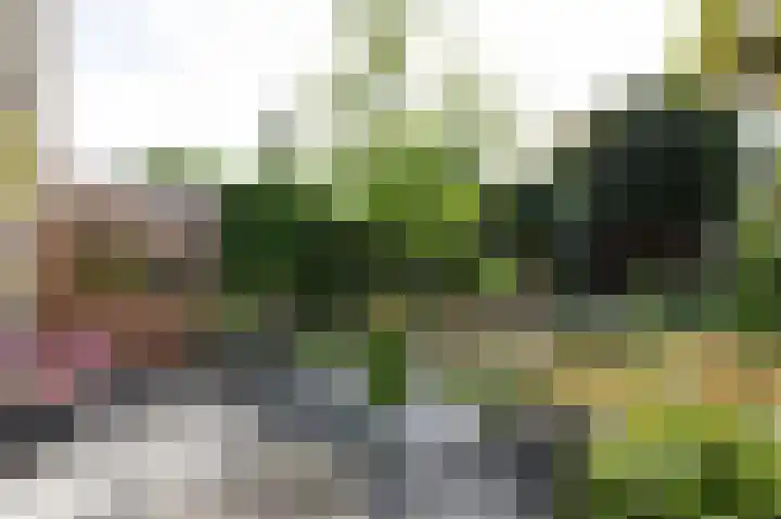 Paganinistraat 15 Zevenaar thumbnail 64