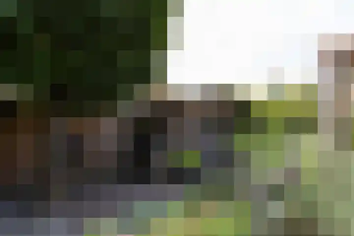 Paganinistraat 15 Zevenaar thumbnail 67