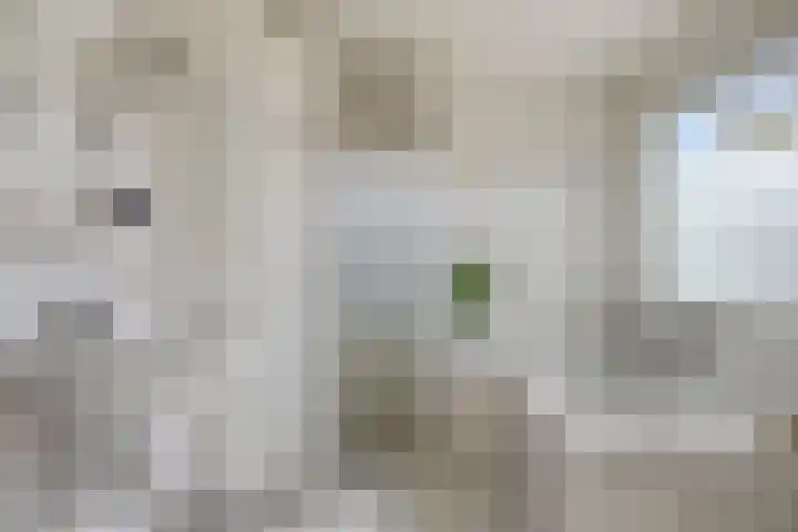 Paganinistraat 19 Hengelo thumbnail 20