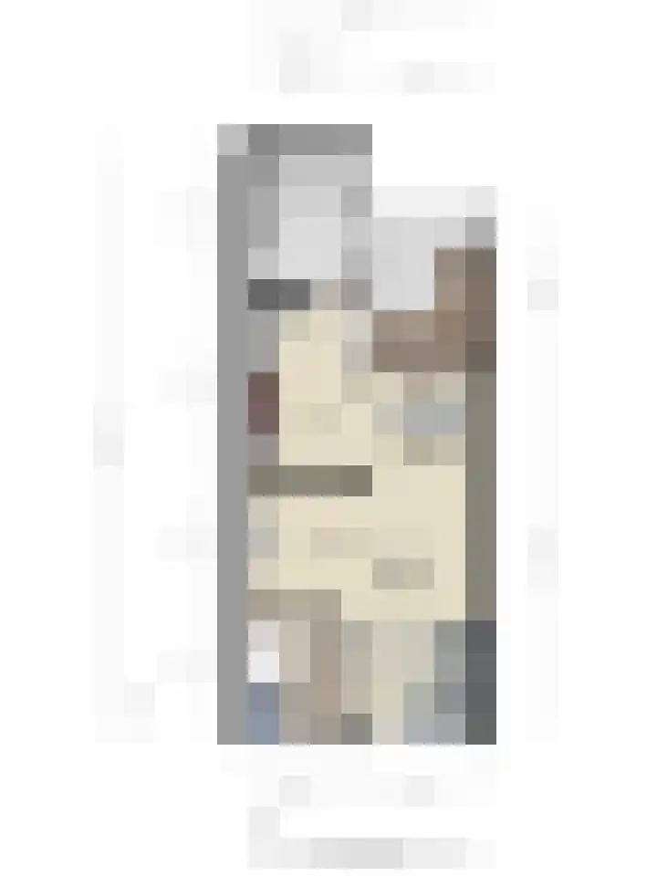 Paganinistraat 19 Hengelo thumbnail 31