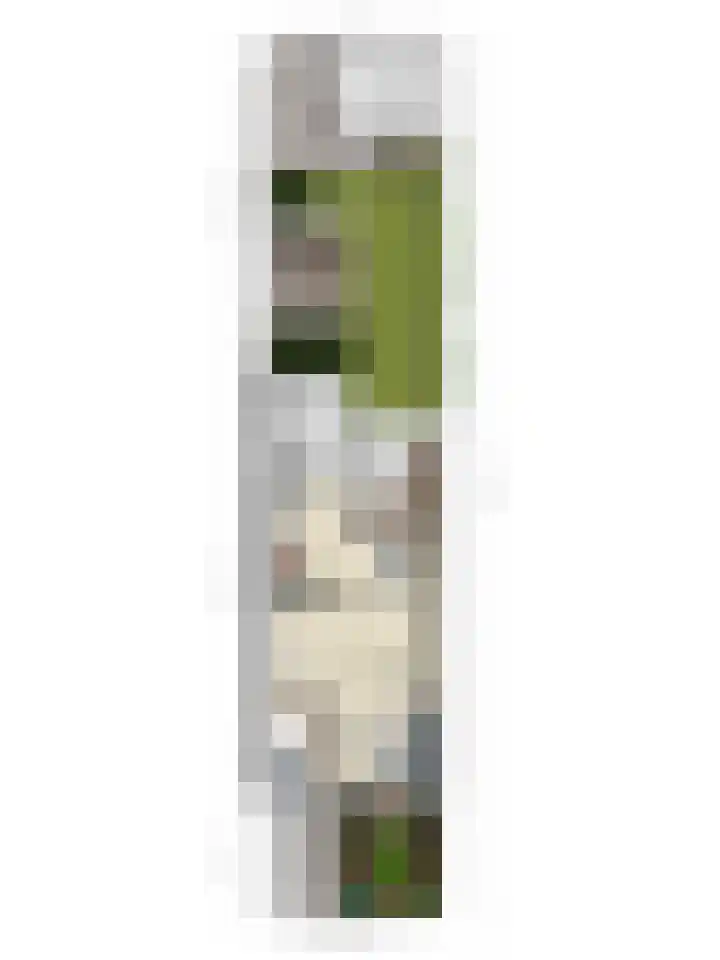 Paganinistraat 19 Hengelo thumbnail 35