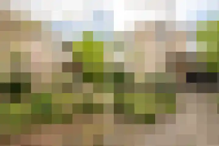 Paganinistraat 24 Oss thumbnail 21