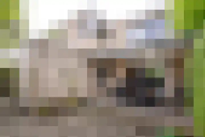 Paganinistraat 24 Oss thumbnail 22