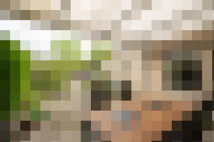 Paganinistraat 24 Oss thumbnail 23