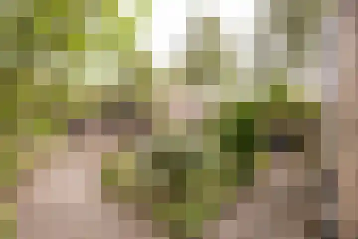 Paganinistraat 24 Oss thumbnail 24