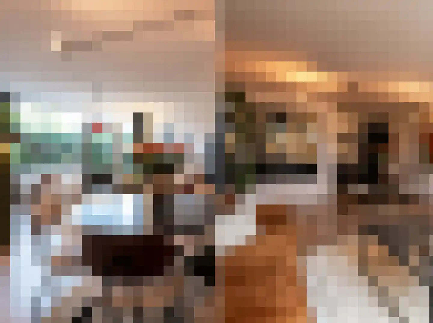 Paganinistraat 25 Oss thumbnail 10