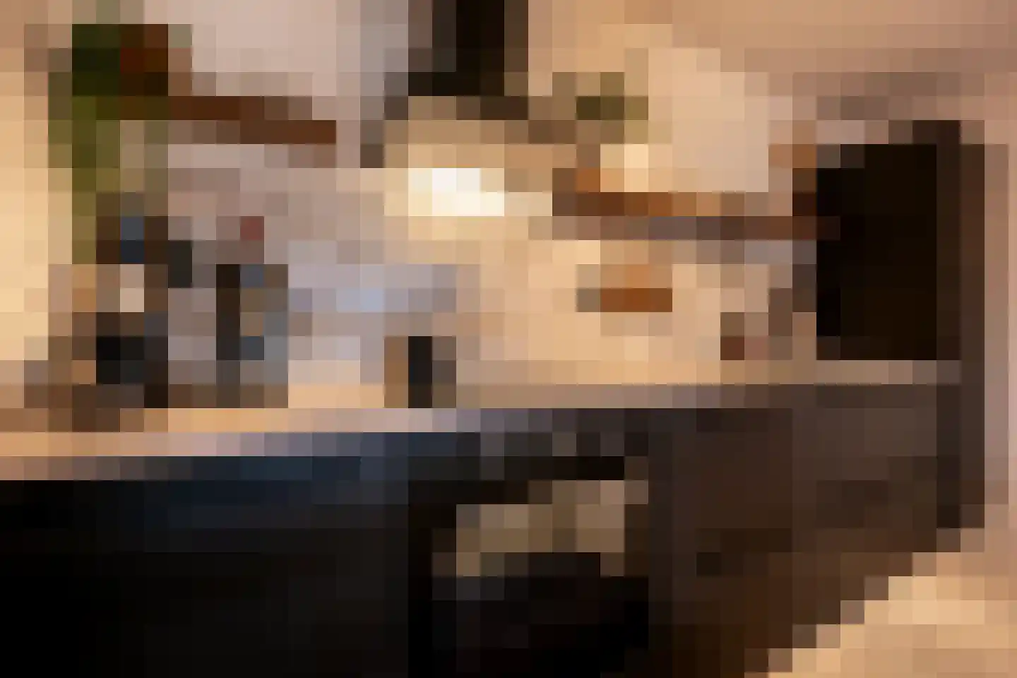 Paganinistraat 25 Oss thumbnail 15