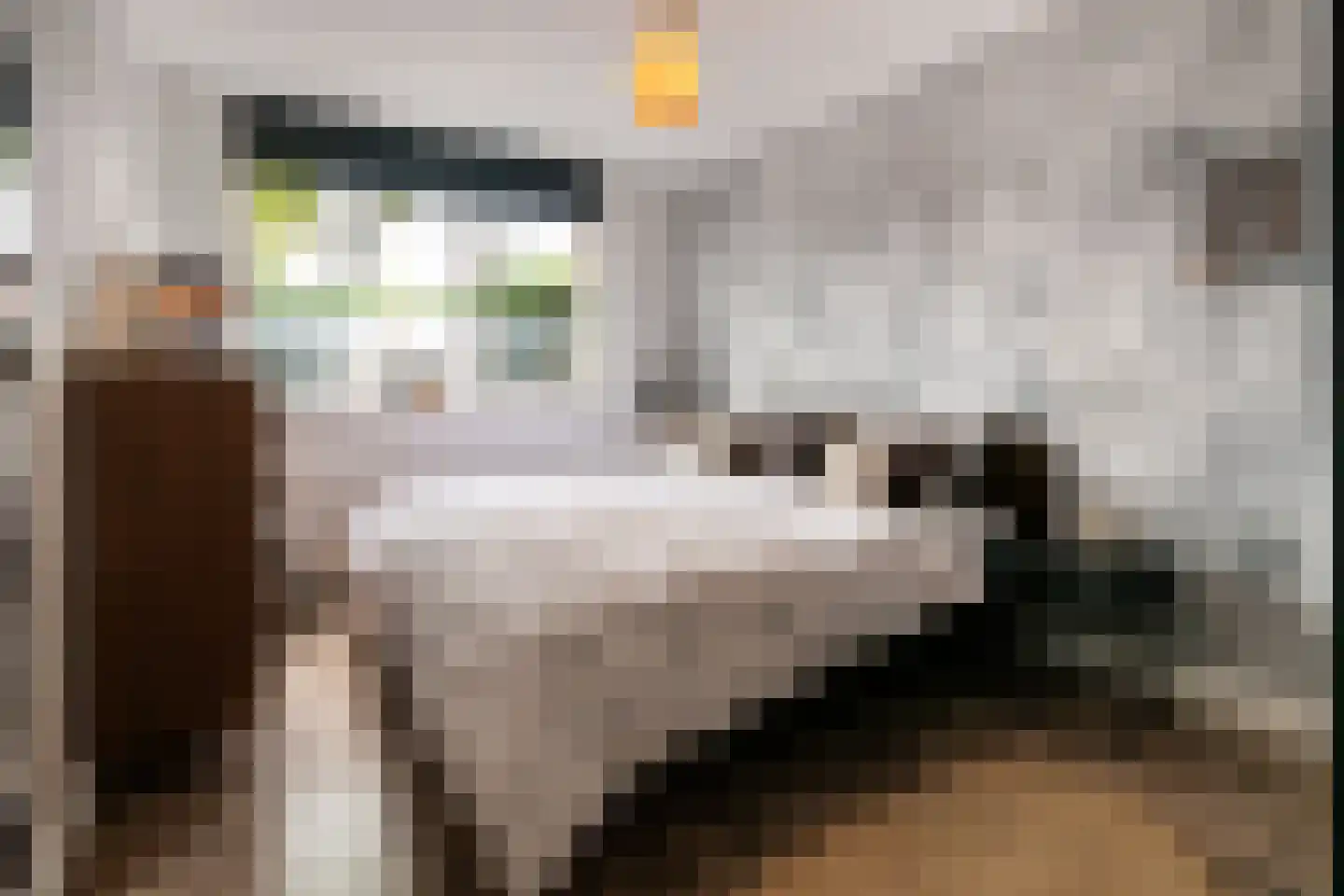 Paganinistraat 25 Oss thumbnail 16