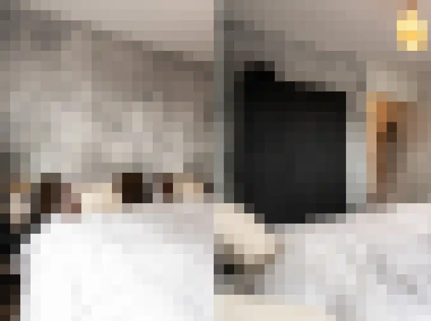 Paganinistraat 25 Oss thumbnail 17