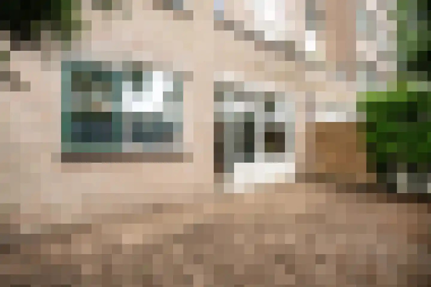 Paganinistraat 25 Oss thumbnail 20