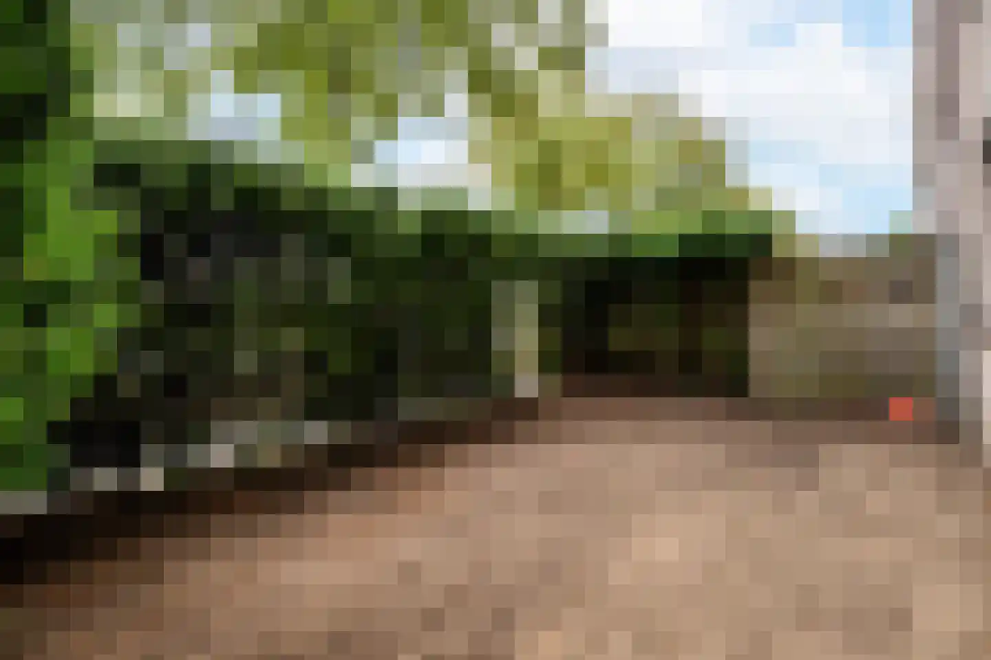 Paganinistraat 25 Oss thumbnail 22