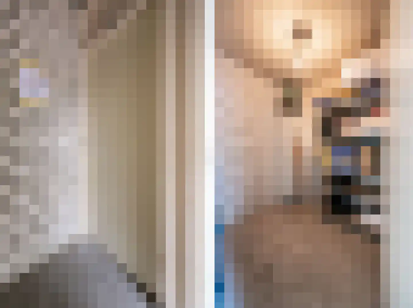 Paganinistraat 25 Oss thumbnail 23
