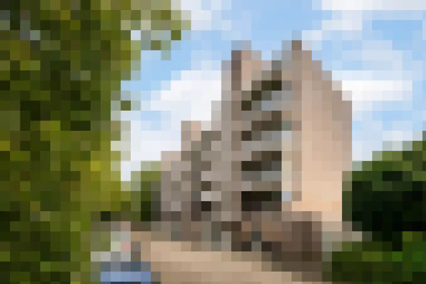 Paganinistraat 25 Oss thumbnail 27