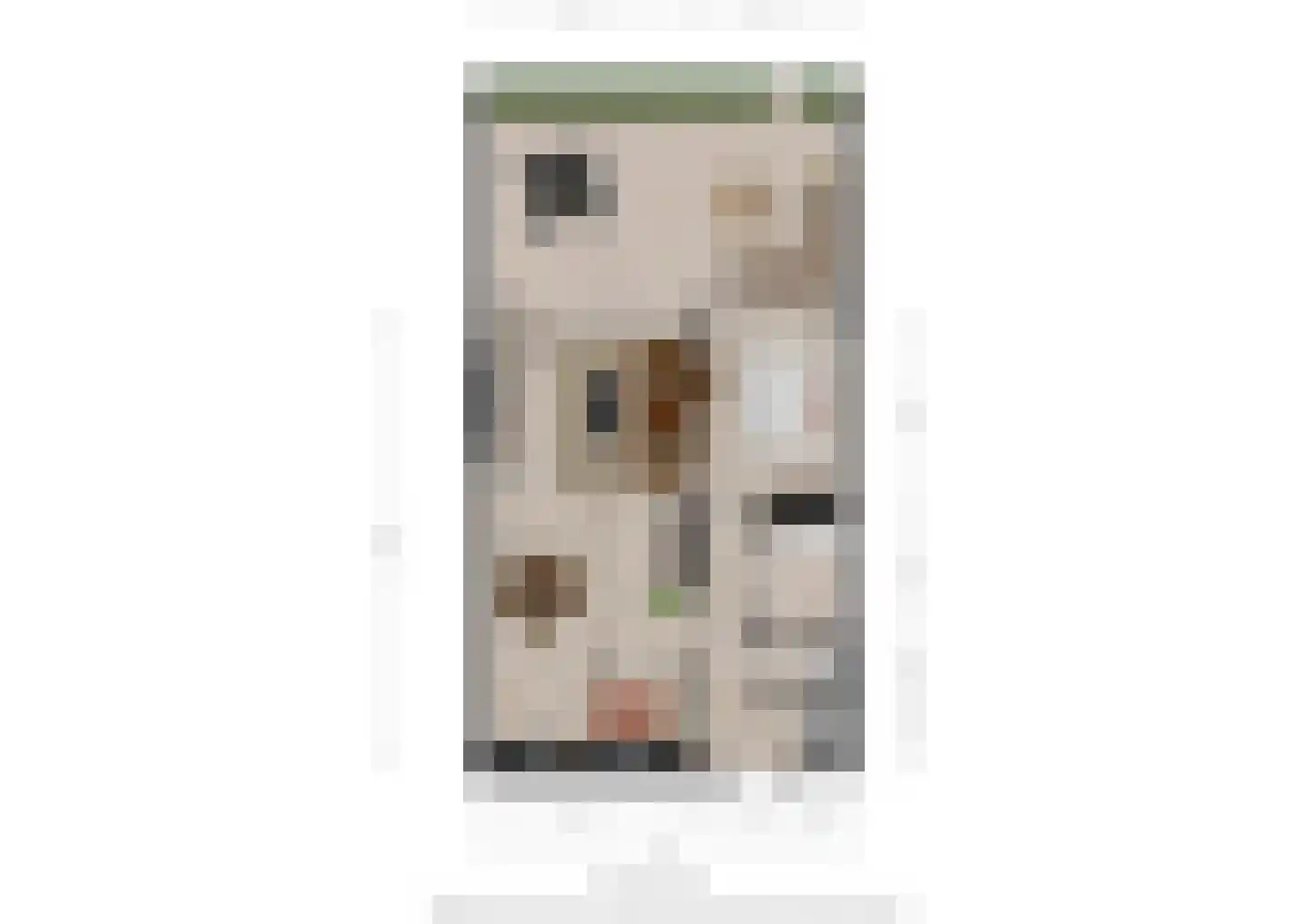 Paganinistraat 25 Oss thumbnail 29