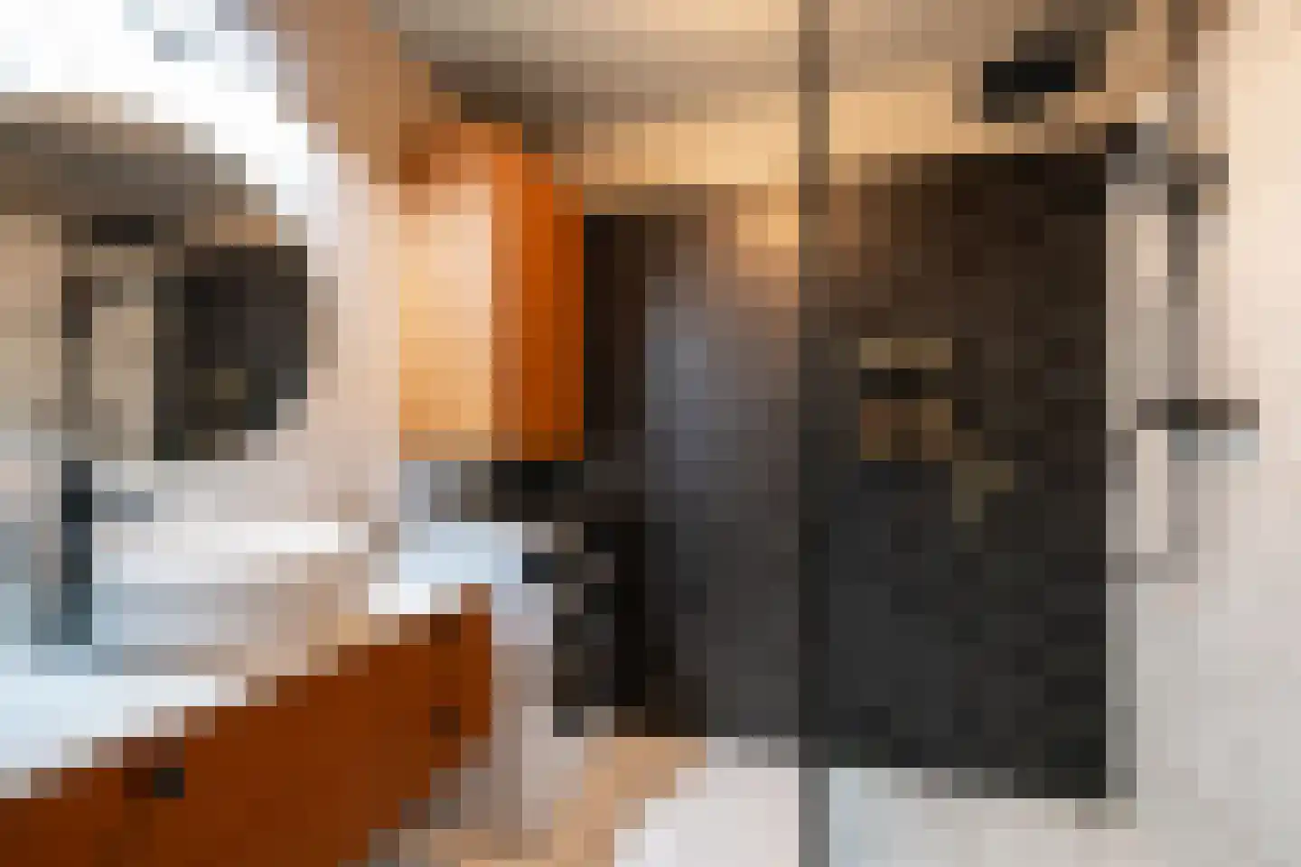 Paganinistraat 25 Oss thumbnail 4