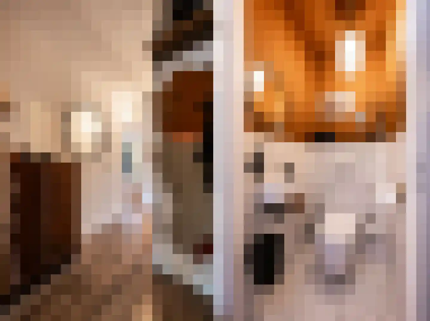 Paganinistraat 25 Oss thumbnail 7