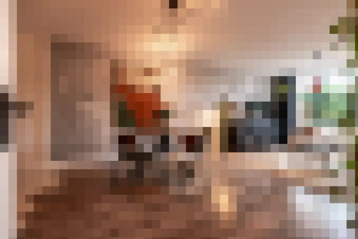 Paganinistraat 25 Oss thumbnail 8