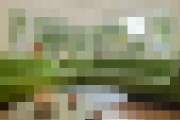 Paganinistraat 28 Capelle aan den IJssel thumbnail 11