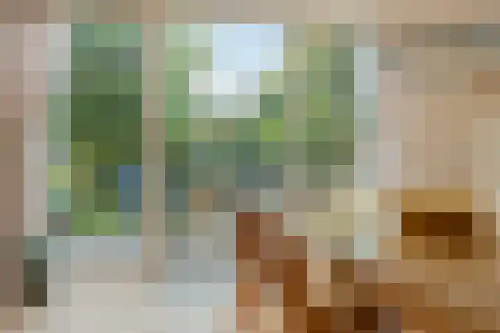 Paganinistraat 28 Capelle aan den IJssel thumbnail 12