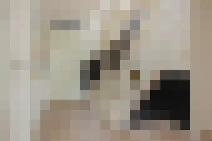 Paganinistraat 28 Capelle aan den IJssel thumbnail 15