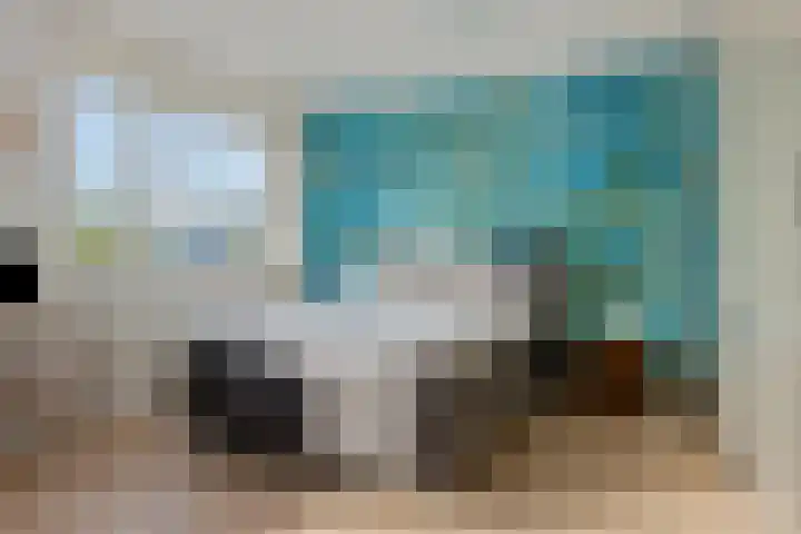 Paganinistraat 28 Capelle aan den IJssel thumbnail 16