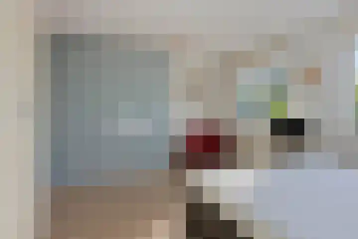 Paganinistraat 28 Capelle aan den IJssel thumbnail 17