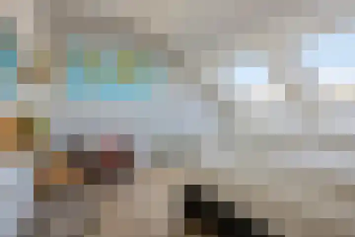 Paganinistraat 28 Capelle aan den IJssel thumbnail 23