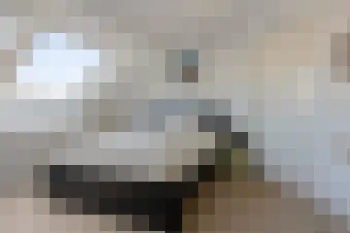 Paganinistraat 28 Capelle aan den IJssel thumbnail 24