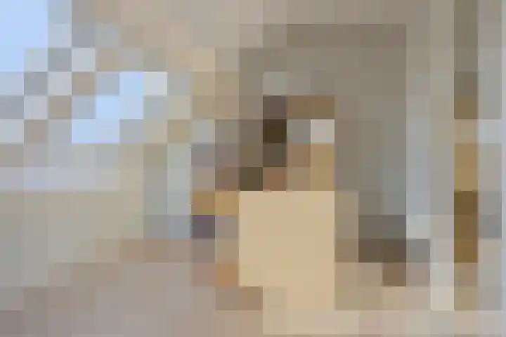 Paganinistraat 28 Capelle aan den IJssel thumbnail 26