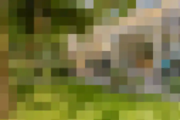 Paganinistraat 28 Capelle aan den IJssel thumbnail 28