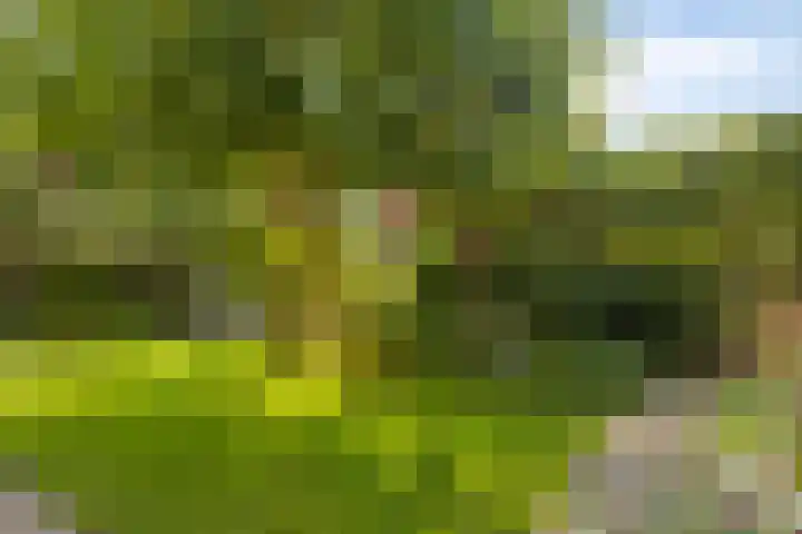 Paganinistraat 28 Capelle aan den IJssel thumbnail 29