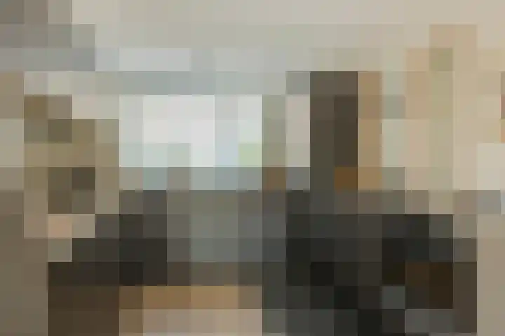 Paganinistraat 28 Capelle aan den IJssel foto 3