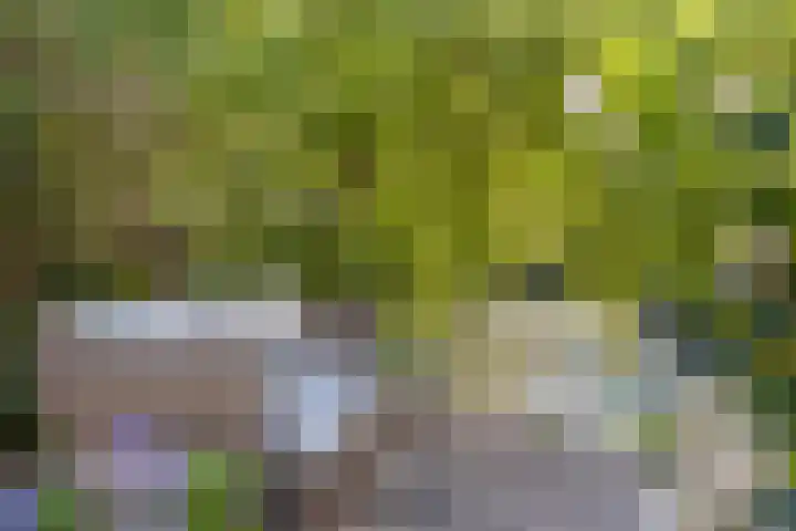 Paganinistraat 28 Capelle aan den IJssel thumbnail 30