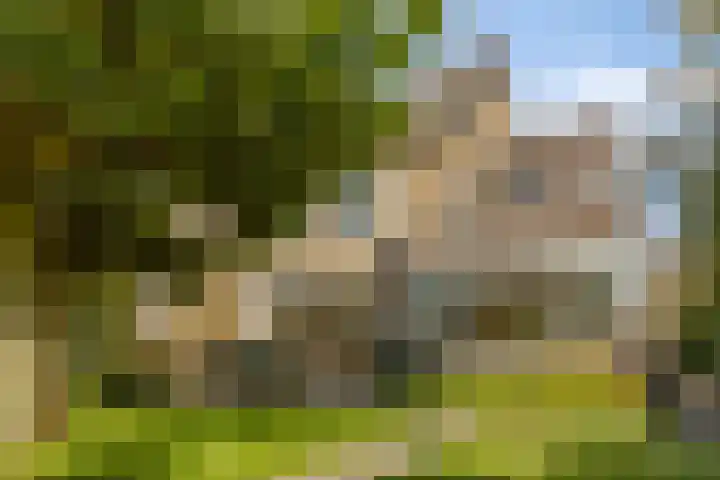 Paganinistraat 28 Capelle aan den IJssel thumbnail 31