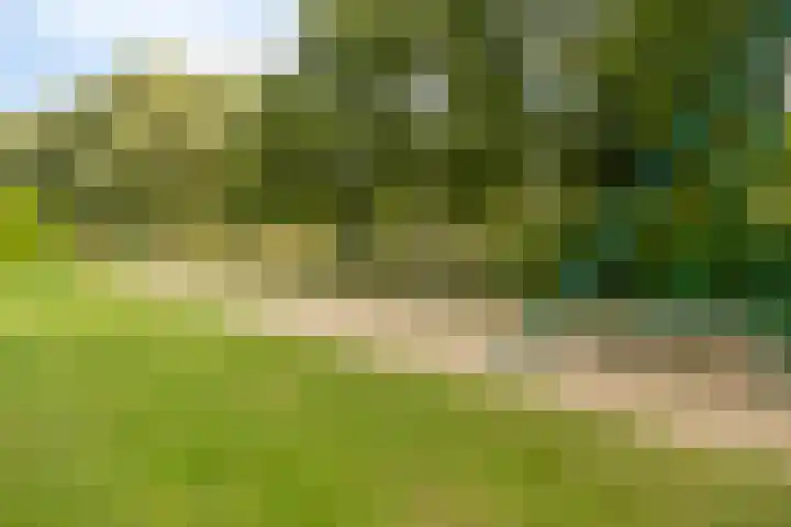 Paganinistraat 28 Capelle aan den IJssel thumbnail 32