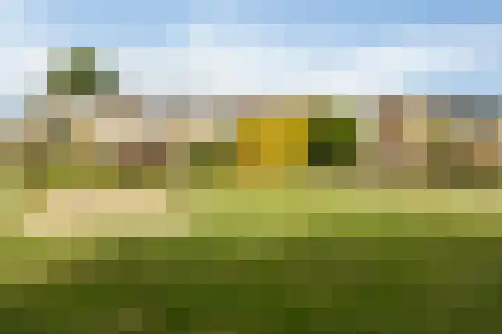 Paganinistraat 28 Capelle aan den IJssel thumbnail 33