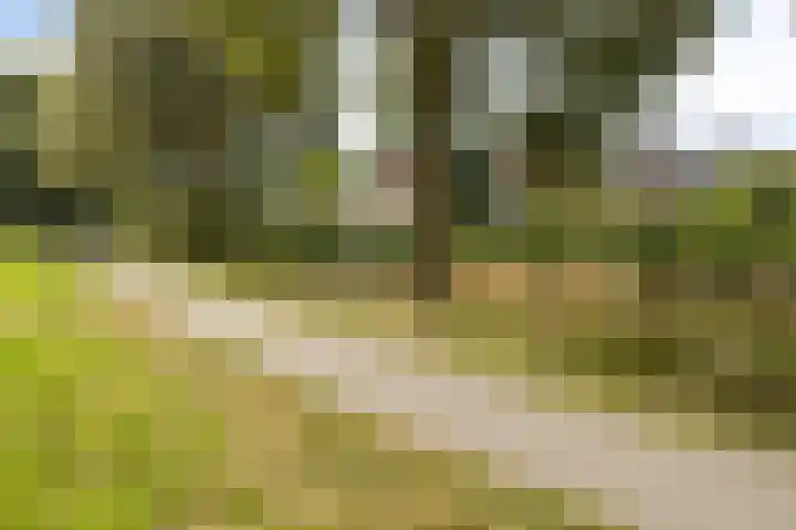 Paganinistraat 28 Capelle aan den IJssel thumbnail 34