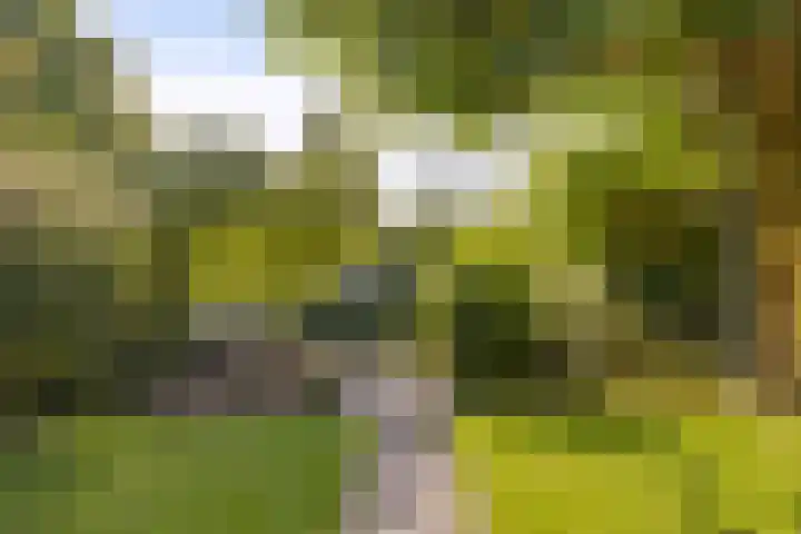 Paganinistraat 28 Capelle aan den IJssel thumbnail 4