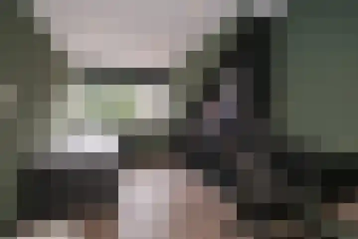 Paganinistraat 35 Almelo thumbnail 19