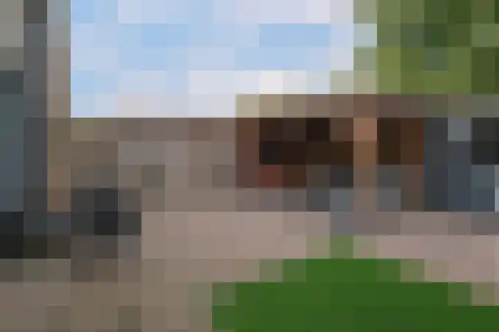 Paganinistraat 35 Almelo thumbnail 22