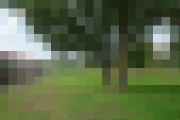 Paganinistraat 35 Almelo thumbnail 25