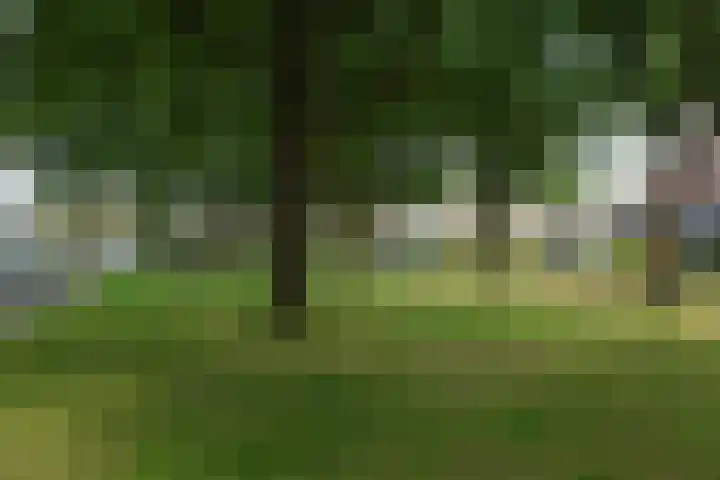 Paganinistraat 35 Almelo thumbnail 26