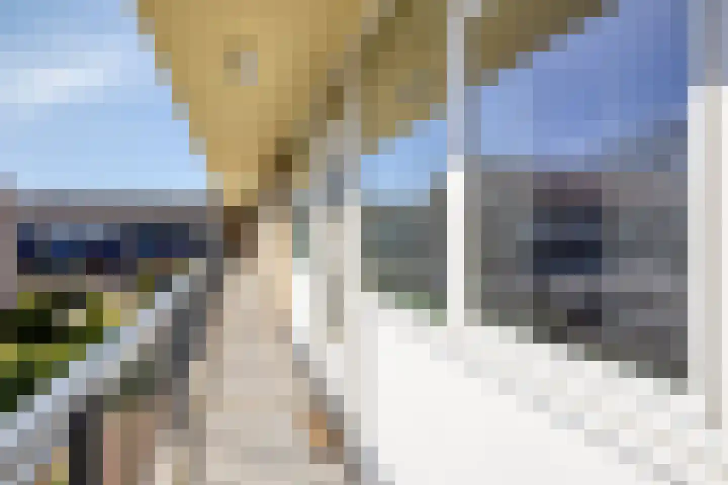Paganinistraat 40 Almelo thumbnail 12